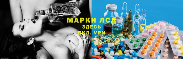 спиды Верея