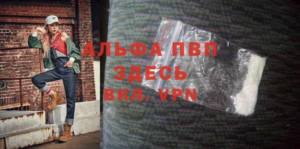 спиды Верея