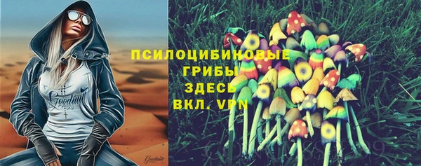 спиды Верея